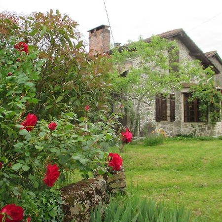 Joli Bois Bed & Breakfast Montrollet Bagian luar foto